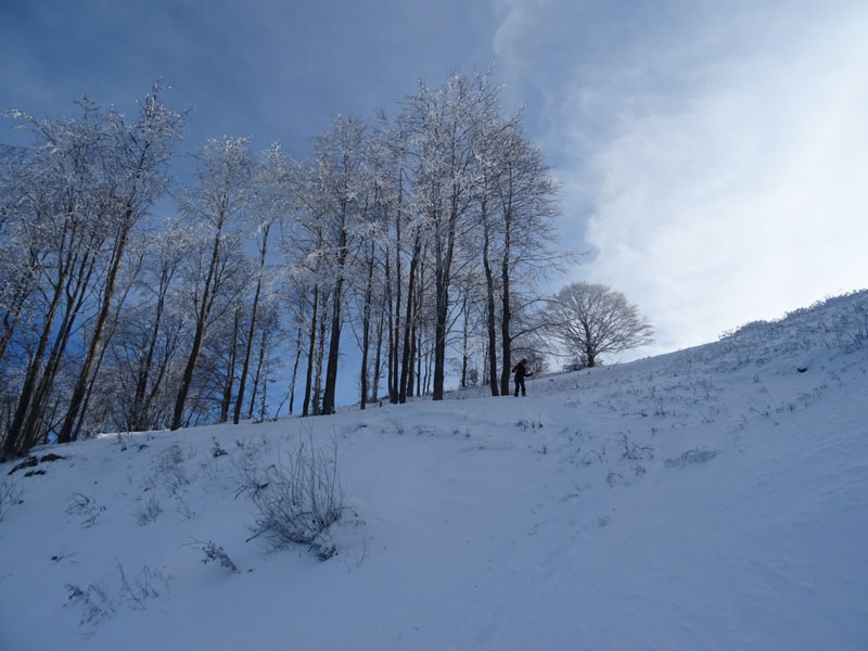 prime escursioni sulla neve....autunno  2019